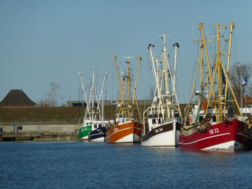 friedrichskoog port shrimp friedrichskoog