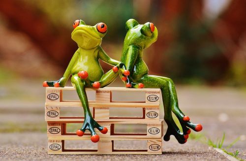 friends sit frogs