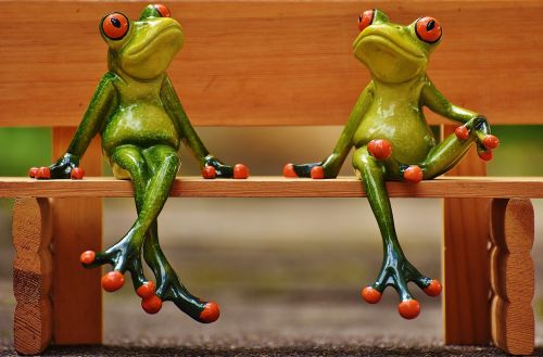 friends sit frogs