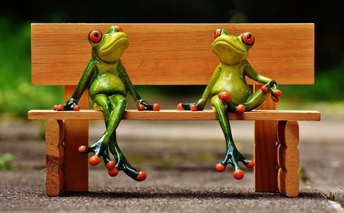 friends sit frogs
