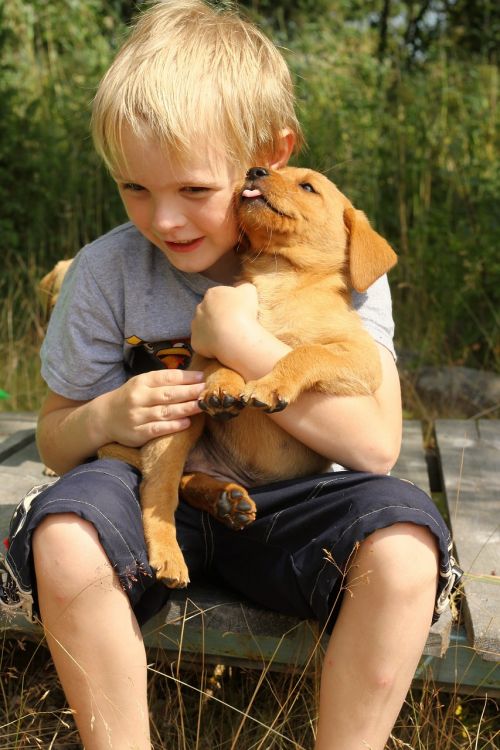 friends child hugs dog children holdin' puppy