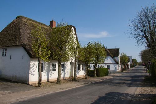 friesenhaus thatched roof föhr