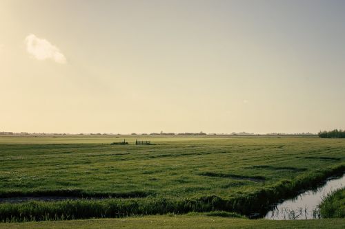 friesland landscape farmlands