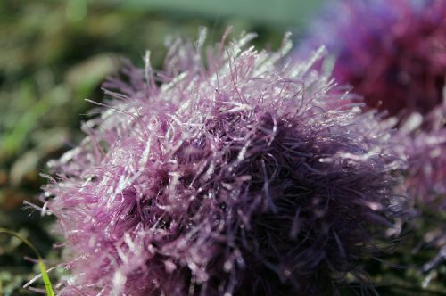 fringed wool fibers threads