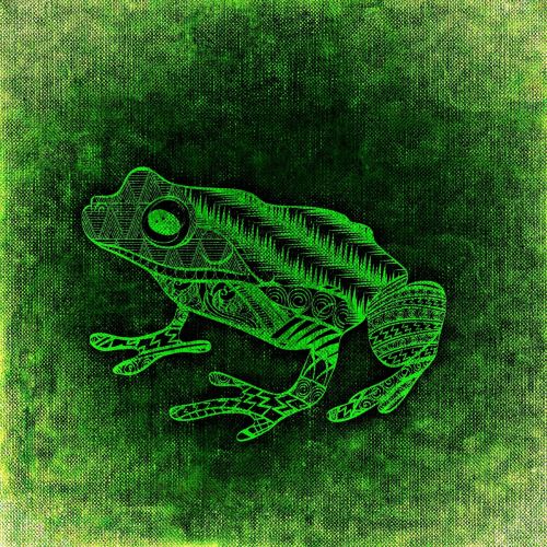 frog abstract background