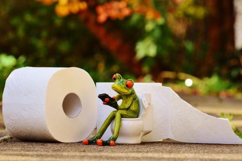 frog toilet loo