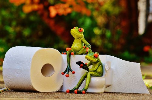 frog toilet loo