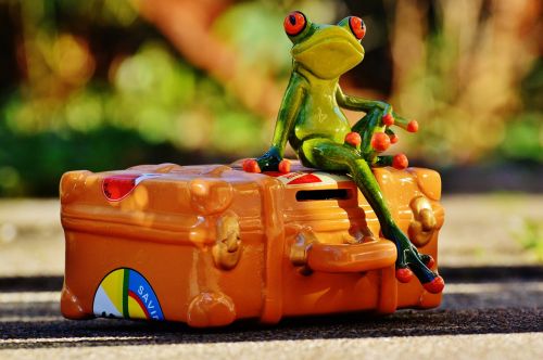 frog travel holiday