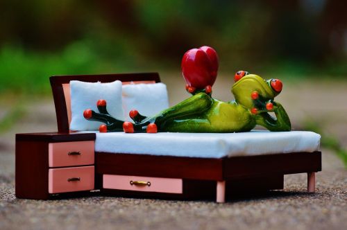 frog love bed