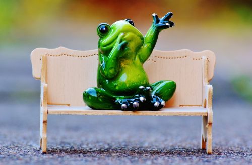 frog bench relaxation