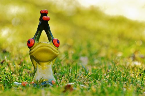 frog yoga meadow