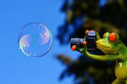 frog photographer soap bubble