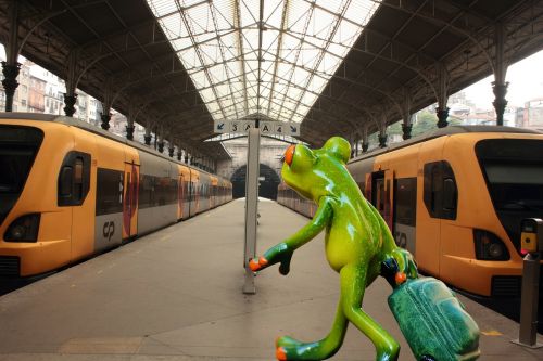 frog farewell travel