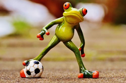 frog football funny