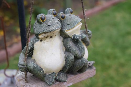 frog swing garden