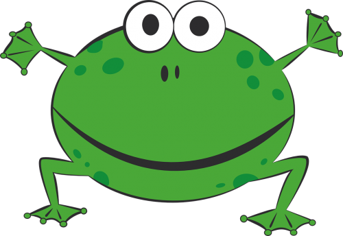 frog green amphibians
