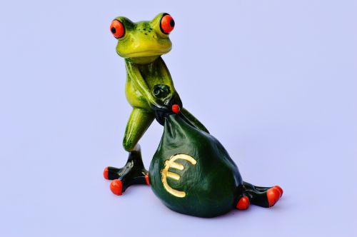 frog money euro