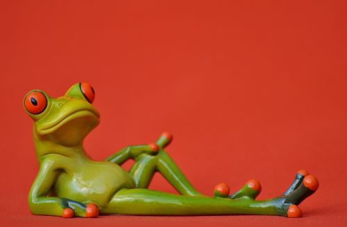 frog lying relaxed