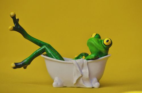 frog bath swim