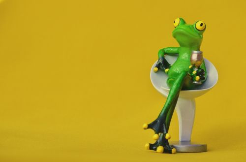 frog chair cozy