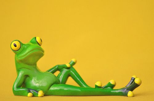 frog lying relaxed