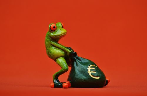 frog money euro