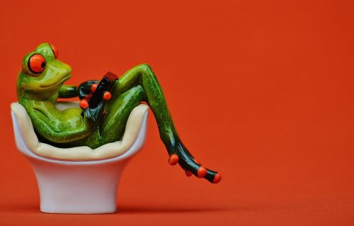 frog chair cozy