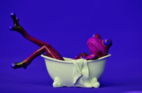 frog bath swim