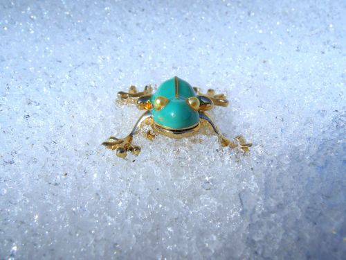 frog turquoise snow