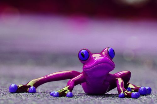 frog funny figure