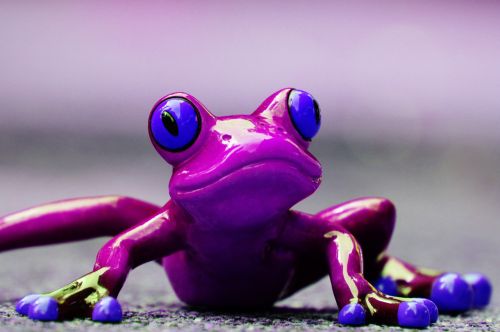 frog funny figure