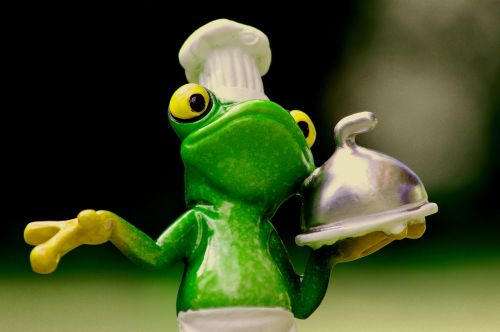 frog cooking eat