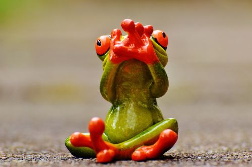 frog figure do not speak