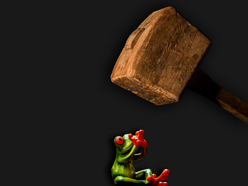 frog fear hammer