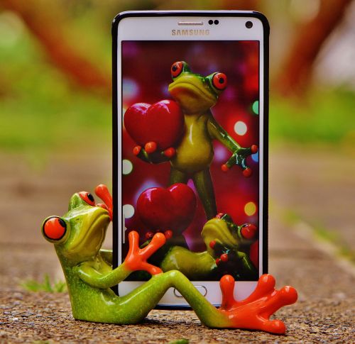 frog figure mobile phone
