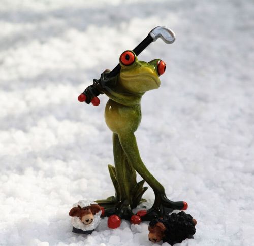frog golf golf clubs