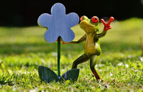 frog flower funny