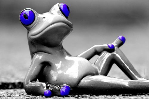 frog relax coziness