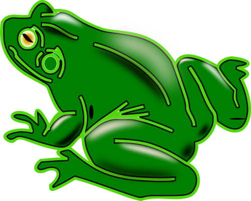 frog amphibian tree frog