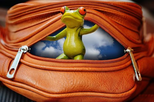 frog bag zip