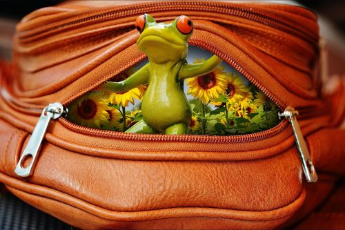 frog bag zip