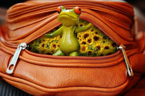 frog bag zip