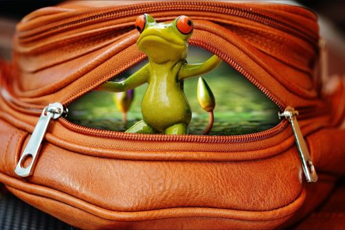 frog bag zip