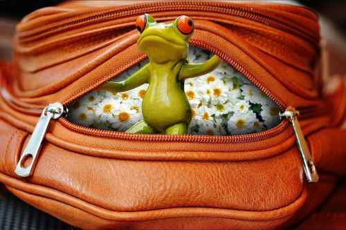 frog bag zip