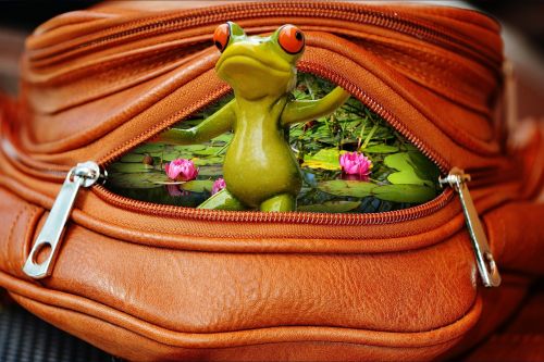 frog bag zip