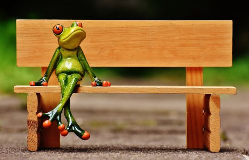 frog sit bank