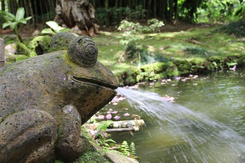 frog statue pond