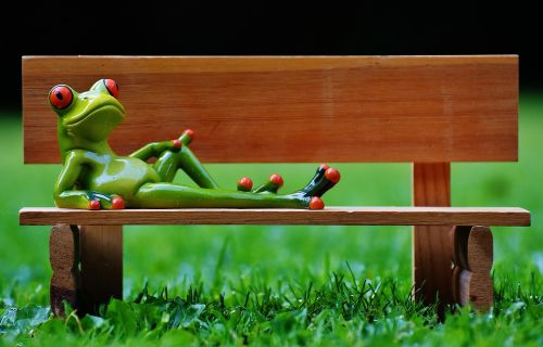 frog bank bench