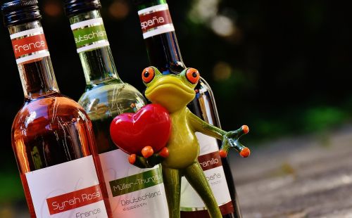 frog love celebrate
