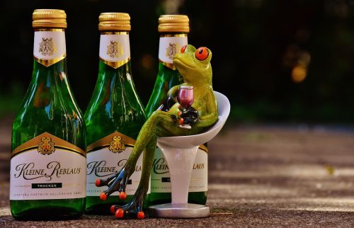 frog wine drink